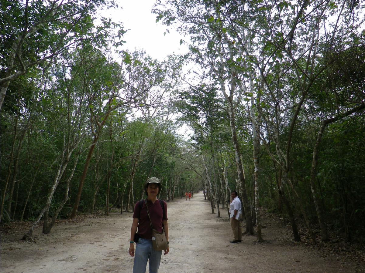 Mayan Culture035